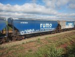 RUMO HTT-351624-5